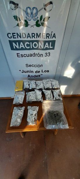 Neuquén: Gendarmería descubrió una mochila cargada con cocaína  y marihuana en un micro