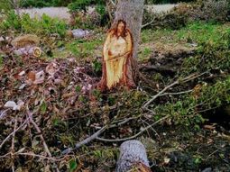 La imagen de Jesús en un árbol sorprendió a General Las Heras La imagen de Jesús en un árbol sorprendió a General Las Heras