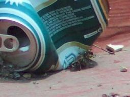 Foto ilustrativa. Foto ilustrativa.