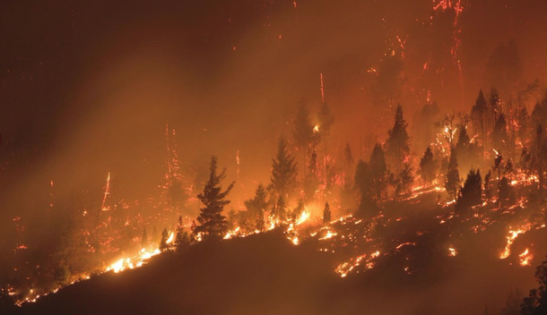 A 100 metros del fuego se te calienta todo el cuerpo: impactantes videos y testimonios por los incendios en Chubut