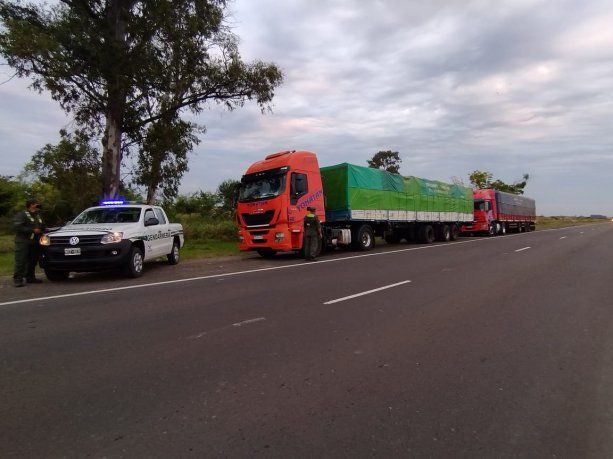 Gendarmería detuvo un nuevo contrabando de soja