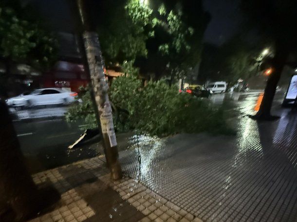 Por la tormenta, más de 200 mil usuarios están sin luz en el AMBA