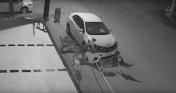 Una jauría de perros destroza un auto
