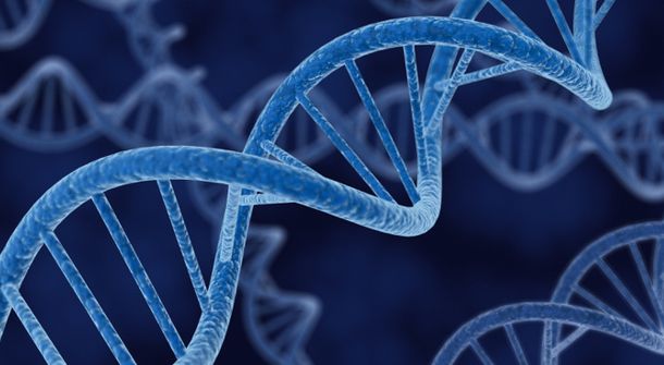 Un estudio revela que compartimos genes con nuestros amigos