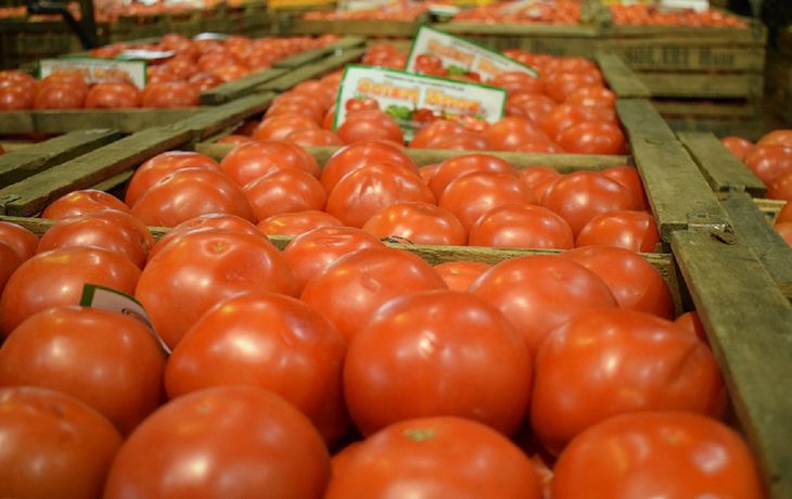Por temporal en la Costa Atlántica, faltará tomate y morrón