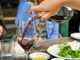 España fue el primer país en desarrollar una planta capaz de desalcoholizar el vino en el año 2004. España fue el primer país en desarrollar una planta capaz de desalcoholizar el vino en el año 2004.