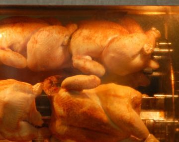 Pollo