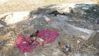 Foto: diario El Litoral. Foto: diario El Litoral.