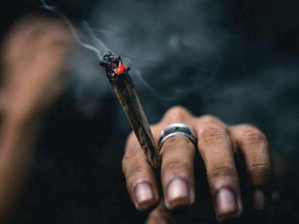 Berni a favor de despenalizar la marihuana: qué dijo