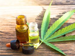 El mercado de cannabis medicinal en Uruguay no avanzó al punto esperado tras su regulación. El mercado de cannabis medicinal en Uruguay no avanzó al punto esperado tras su regulación.