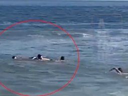 el dramatico rescate de demichelis y su familia en el mar de punta del este: que les paso el dramatico rescate de demichelis y su familia en el mar de punta del este: que les paso