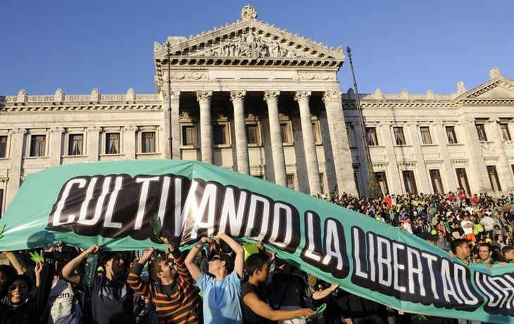 Senador uruguayo considera un fracaso la guerra a las drogas
