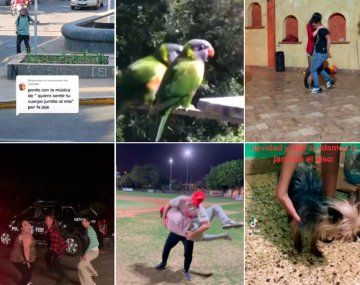 Memes y versiones de uno de los virales más usados: quiero sentir tu cuerpo juntito al mío...