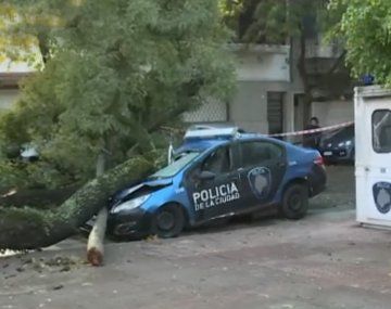 Así quedó un patrullero al que le cayó encima un árbol en medio del temporal