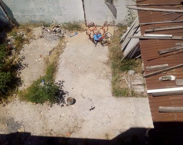 Vecinos denunciaron que golpearon a un perro y lo dejaron desangrarse