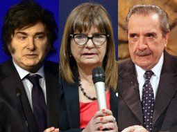 Patricia Bullrich respaldó la acusación de Javier Milei a Raúl Alfonsín: Conspiración