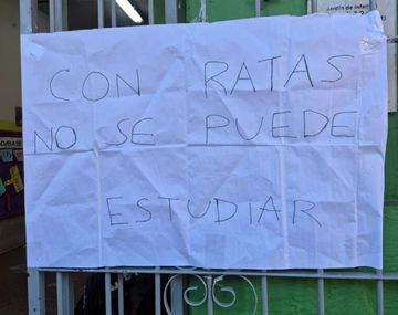 Denuncian la aparición de ratas en una escuela de Mataderos