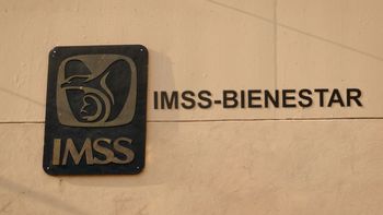 Pensiones del IMSS. Pensiones del IMSS.
