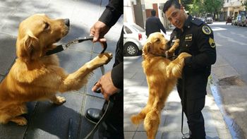 Perra experta en detectar explosivos en Casa Rosada. Perra experta en detectar explosivos en Casa Rosada.