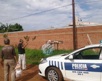 Gentileza El Diario de Misiones.