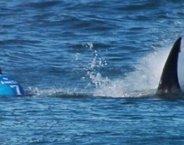 Se salvaron de la muerte por un pelo