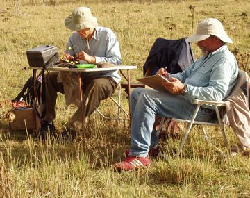 ¿Qué carrera tiene mejor salida laboral?