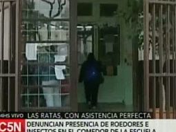 padres denuncian la presencia de ratas y cucarachas en un colegio de villa urquiza padres denuncian la presencia de ratas y cucarachas en un colegio de villa urquiza