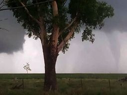 Susto en Córdoba por un tornado que tiró árboles y causó daños