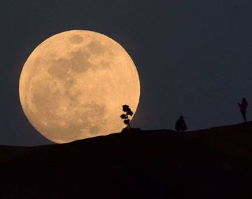 Se viene otra Superluna: ¿cuándo y cómo verla en la Argentina?