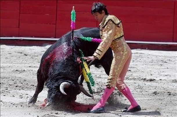 Toros