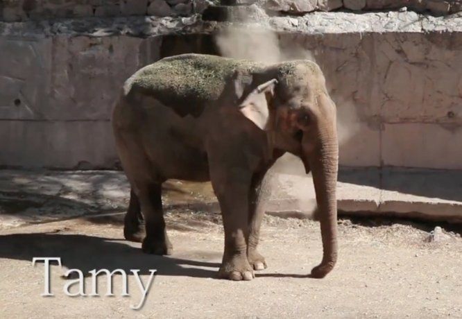 La nueva campaña del influencer Santi Maratea