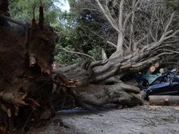 Gentileza RioNegro.com.ar Gentileza RioNegro.com.ar