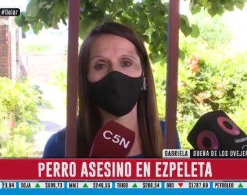 Habló la dueña del ovejero que mató a un caniche: Me amenazaron de muerte y temo una venganza