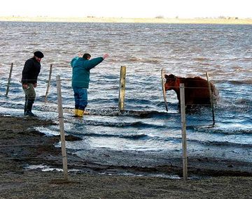 La crecida en los alrdedores de Bolívar (Gentileza: Clarín)
