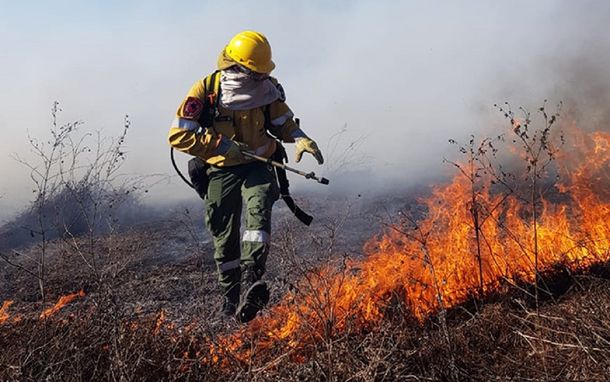 Incendios: la sequía y la bajada del Paraná convierten en crítica la situación en el Delta