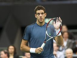 del potro gano y esta en la final de rotterdam del potro gano y esta en la final de rotterdam