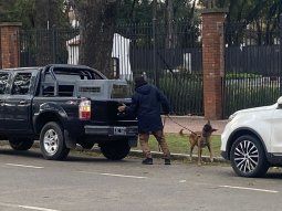 El perro del escuadrón antibombas.