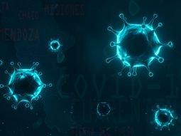 Seis provincias del país se autoaislaron por el avance del coronavirus