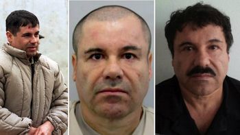 el grupo que coordino la fuga del chapo guzman quedo desarticulado el grupo que coordino la fuga del chapo guzman quedo desarticulado