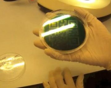 Crean un disco rígido que puede sobrevivir un millón de años