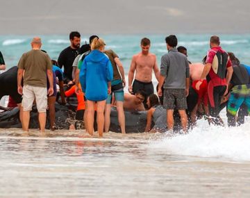 Devolvieron a la ballena al mar con mucho esfuerzo