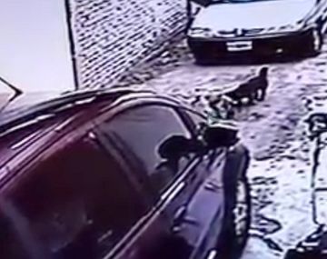 Así se vivió el temblor en una vivienda