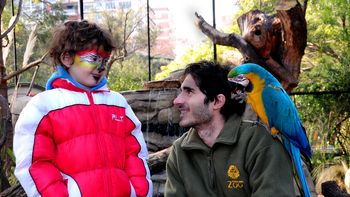 vacaciones en el zoo de buenos aires, una opcion para los chicos vacaciones en el zoo de buenos aires, una opcion para los chicos