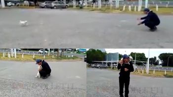 Un hombre pudo recuperar a su mascota en Río Negro Un hombre pudo recuperar a su mascota en Río Negro