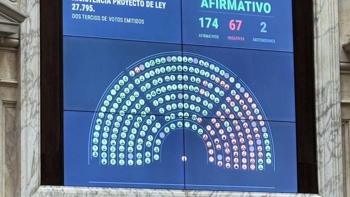 Diputados rechazó los vetos de Javier Milei al Financiamiento Universitario y a la Emergencia Pediátrica