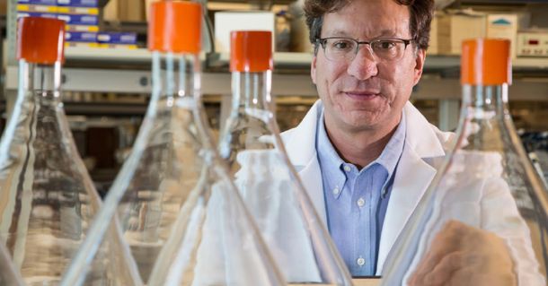 Científicos dieron con una droga que podría servir como cura del Sida