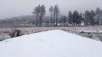 Se espera nieve en un estado de México esta Navidad. Se espera nieve en un estado de México esta Navidad.