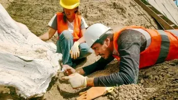 Descubrieron restos de un Perezoso Terrestre Gigante en Mar del Plata