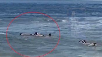 el dramatico rescate de demichelis y su familia en el mar de punta del este: que les paso el dramatico rescate de demichelis y su familia en el mar de punta del este: que les paso