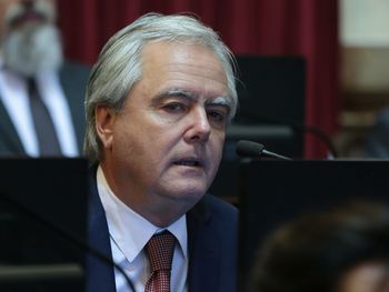 Federico Pinedo, presidente provisional del Senado